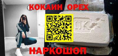 молекула духа Кингисепп