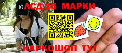 молекула духа Кингисепп