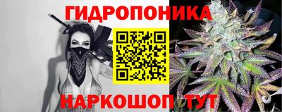 молекула духа Кингисепп