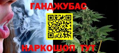 молекула духа Кингисепп