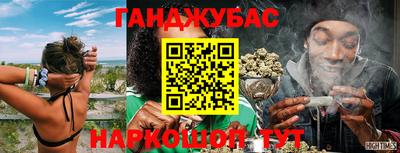 молекула духа Кингисепп