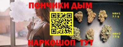 молекула духа Кингисепп