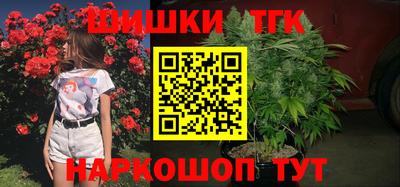 молекула духа Кингисепп