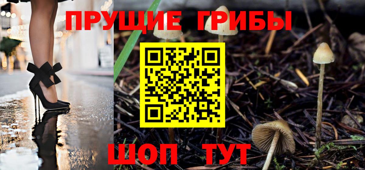 MDMA Кудрово
