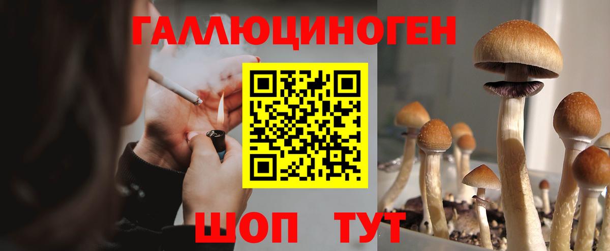 Псилоцибиновые грибы ЛСД  Вход с VPN  Галлюциногенные грибы MAGIC MUSHROOMS  Кудрово 