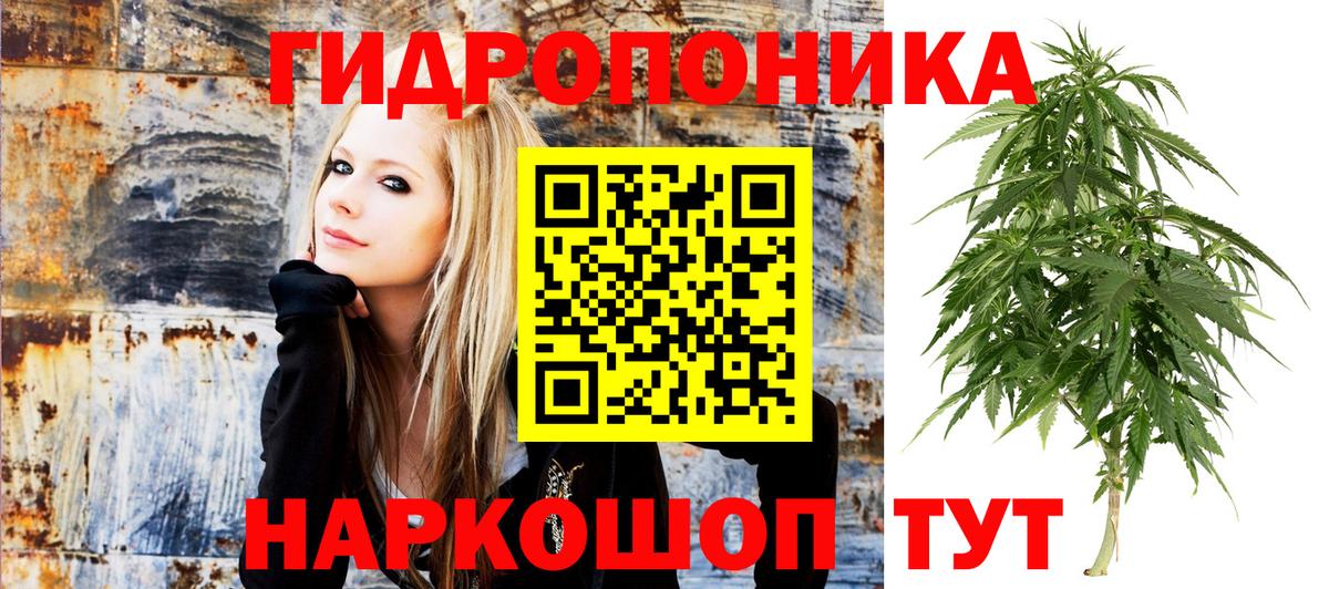 Канабис ГИДРОПОН Кудрово
